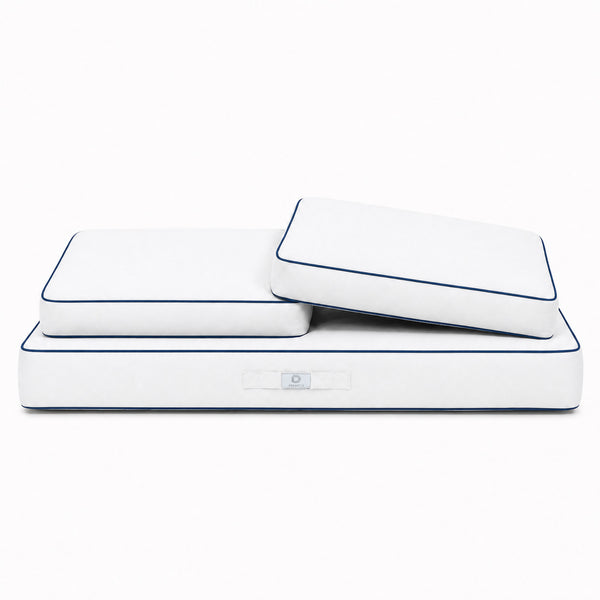Premium-Kissen-Set 100x50 Weiß - 1 Sitzfläche + 2 Rückenlehnen (Dick 12cm & Passepoil)