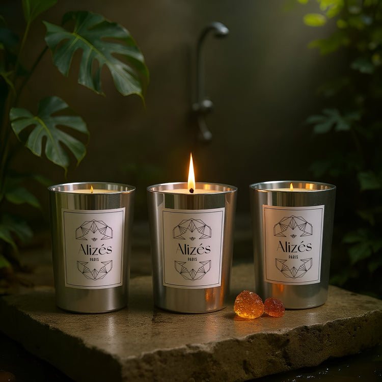 Trio Bougies La Provençale – 3x180g – Fruits & Fleurs – Alizés - Deco-arts.fr