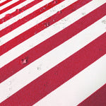 Ensemble Coussins Salon Jardin 100x50 Rayure Rouge - vue latérale