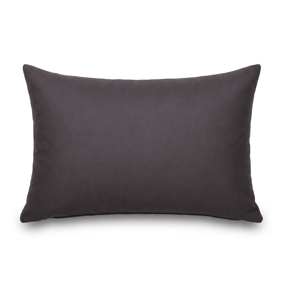 Lot de 2 Coussins d'Appoint 60x35 Gris Carbone, pour l'intérieur, l'extérieur et la piscine